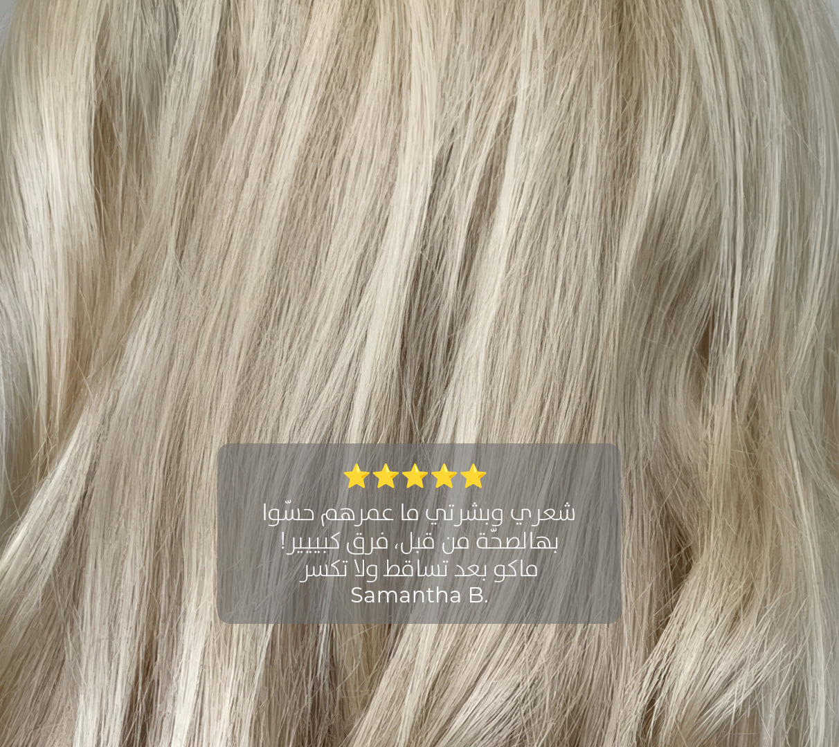 Handheld Filtered Showerhead