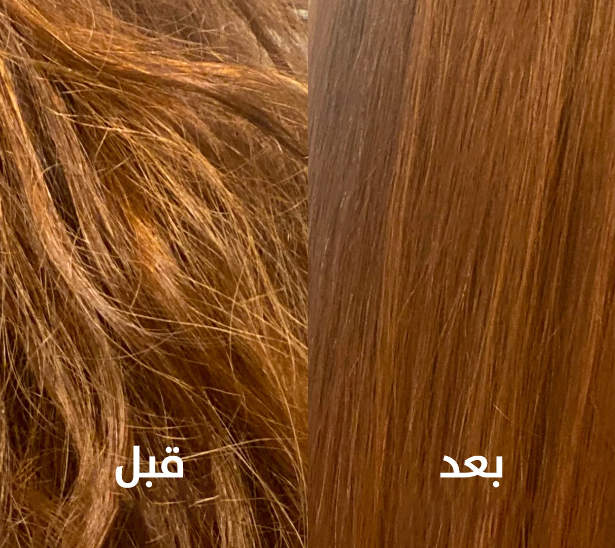 Handheld Filtered Showerhead